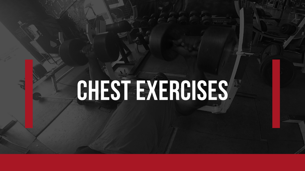 Chest Exercises
