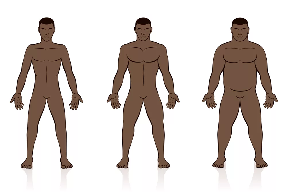 Ectomorph, Mesomorph, & Endomorph: Beginners Guide To Body Types
